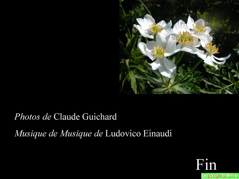 Claude,2022 02 28-58